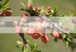 7 ＊ 24 小时专属客户服务