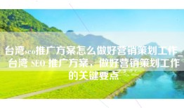 台湾seo推广方案怎么做好营销策划工作_台湾 SEO 推广方案，做好营销策划工作的关键要点
