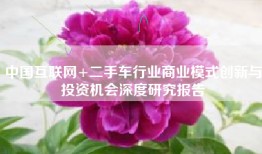 中国互联网+二手车行业商业模式创新与投资机会深度研究报告