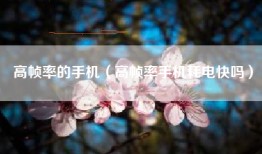 高帧率的手机（高帧率手机耗电快吗）