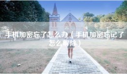 手机加密忘了怎么办（手机加密忘记了怎么解除）