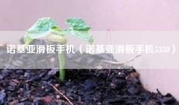 诺基亚滑板手机（诺基亚滑板手机5330）