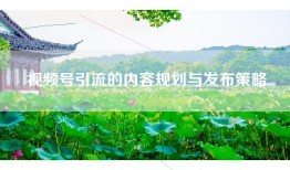 视频号引流的内容规划与发布策略