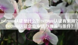 ISO20000认证是什么？ISO20000认证有何用？ISO20000认证企业申请办理流与条件？