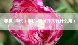 手机u调试（手机u调试开关有什么用）
