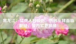 黑龙江：猛虎入村咬伤，伤者左臂面临截肢，警方紧急抓捕！
