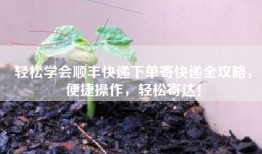 轻松学会顺丰快递下单寄快递全攻略，便捷操作，轻松寄达！