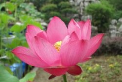王力防盗门维修电话24小时电话是多少《今日发布》 福州“锅盔叔叔”妻子患病仍“加量不加价” 大学生排百米长队尽“一饼之力”