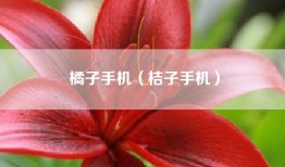 橘子手机（桔子手机）