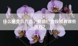 什么是竞价广告，竞价广告投放有哪些技巧？