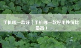 手机哪一款好（手机哪一款好用性价比最高）