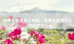 苹果手机用什么导航（苹果手机用什么导航软件）