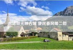 志愿微光映古城 便民春风暖二郎