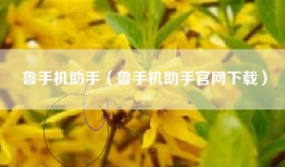鲁手机助手（鲁手机助手官网下载）