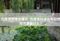 百度竞价排名曝光_百度竞价排名和自然排名都是什么？