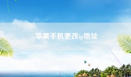 苹果手机更改ip地址