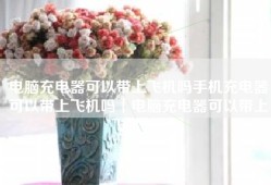 电脑充电器可以带上飞机吗手机充电器可以带上飞机吗「电脑充电器可以带上飞机吗」