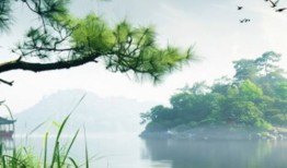 科普动态 ｜｜ 2024年四川省大学生环保科普创意大赛决赛成功举办