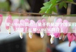 三星SAMSUNG简介三星手机是哪个国家的品牌「三星SAMSUNG简介」