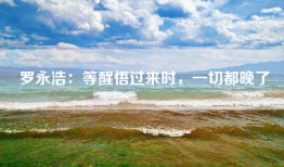 罗永浩：等醒悟过来时，一切都晚了