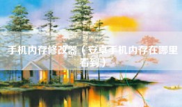 手机内存修改器（安卓手机内存在哪里看到）