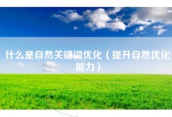 什么是自然关键词优化（提升自然优化能力）