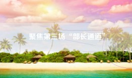 聚焦第三场“部长通道”