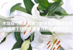 水凝膜与钢化膜哪个好手机水凝膜和钢化膜哪个好「水凝膜与钢化膜哪个好」