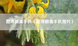 超薄翻盖手机（超薄翻盖手机图片）