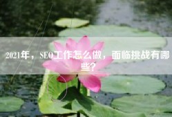 2021年，SEO工作怎么做，面临挑战有哪些？