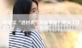 黑龙江“进村虎”来自哪里？溯源工作已启动