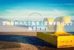 苹果手机分几个版本（苹果手机分几个版本区别）