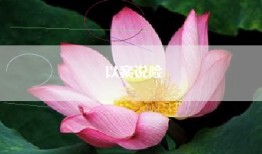 以案说险