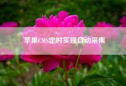 苹果CMS定时实现自动采集