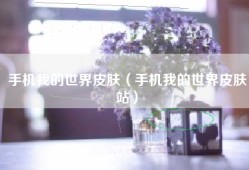 手机我的世界皮肤（手机我的世界皮肤站）