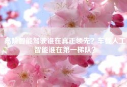 高阶智能驾驶谁在真正领先？车载人工智能谁在第一梯队？