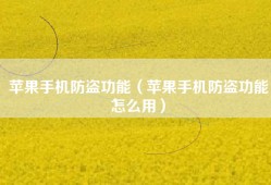 苹果手机防盗功能（苹果手机防盗功能怎么用）