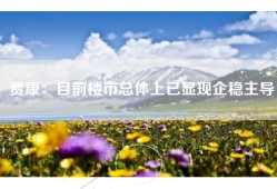 贾康：目前楼市总体上已显现企稳主导