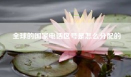 全球的国家电话区号是怎么分配的