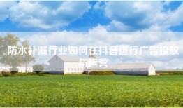 防水补漏行业如何在抖音进行广告投放与运营