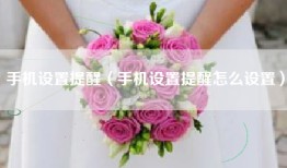 手机设置提醒（手机设置提醒怎么设置）