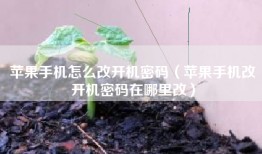 苹果手机怎么改开机密码（苹果手机改开机密码在哪里改）