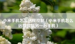小米手机怎么远程控制（小米手机怎么远程控制另一台手机）