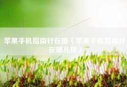 苹果手机指南针在哪（苹果手机指南针在哪儿找）