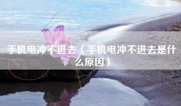 手机电冲不进去（手机电冲不进去是什么原因）