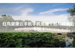 红鸟健康云手机手机加盟「红鸟健康云手机」