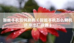 智能手机如何刷机（智能手机怎么刷机还原出厂设置）