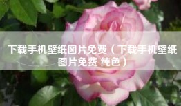 下载手机壁纸图片免费（下载手机壁纸图片免费 纯色）