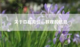 关于百度竞价seo教程的信息