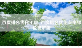 百度排名优化工具_百度排名优化专家绿色破解版